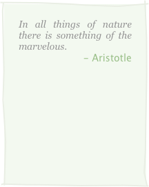 In all things of nature there is something of the marvelous.
- Aristotle
